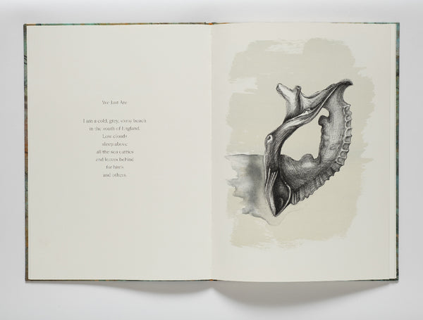 Jan Palethorpe - We just are (artist book)